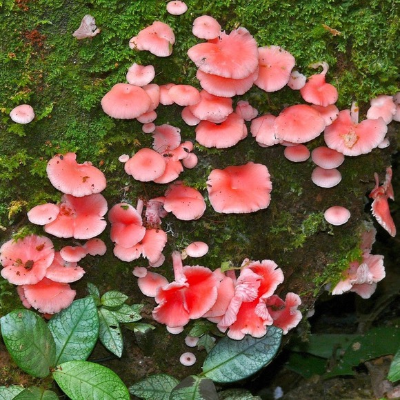 Meet your Posher, Scott - Picture 1 of 1